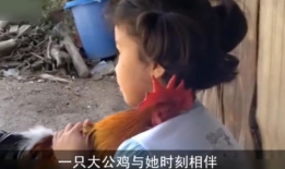 一分钟短视频搞笑,一分钟短视频带你笑翻天