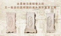 九一精品国产免费,匠心独运，品质卓越的国产佳作盘点