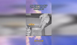 小黄片短视频,网络诱惑与道德反思