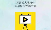 成人短视频在线,成人娱乐内容的新趋势与挑战