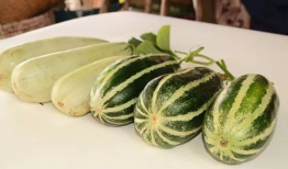 免费网红吃瓜爆料,免费吃瓜爆料背后的真相