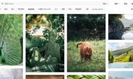 美景短视频软件,美景短视频软件带你领略世界之美